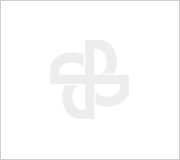 2024年云顶集团电气温室气体排放核查报告