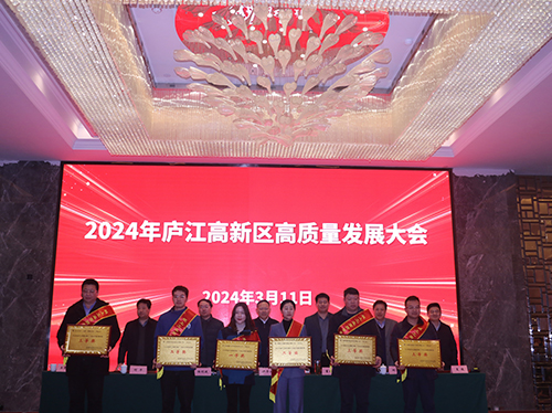 【喜报】云顶集团电气荣获2023年庐江高新区企业高质量发展一等奖！