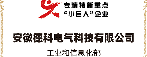 「小巨人 大分量」| 云顶集团电气荣获“国家专精特新重点小巨人企业”称号！